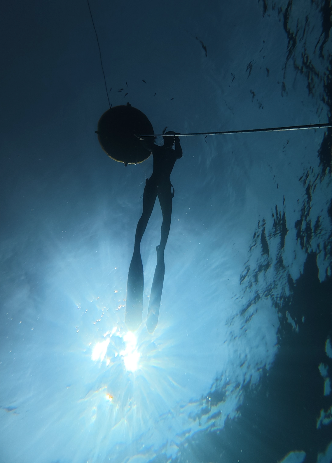 Wave 1 Freediving Course: Boat Dive